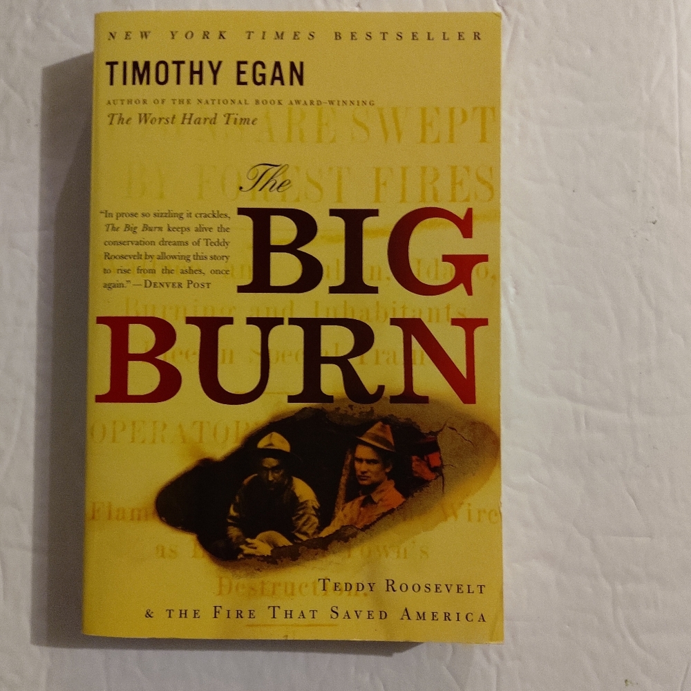 The Big Burn. By Timothy Egan. Mariner Books